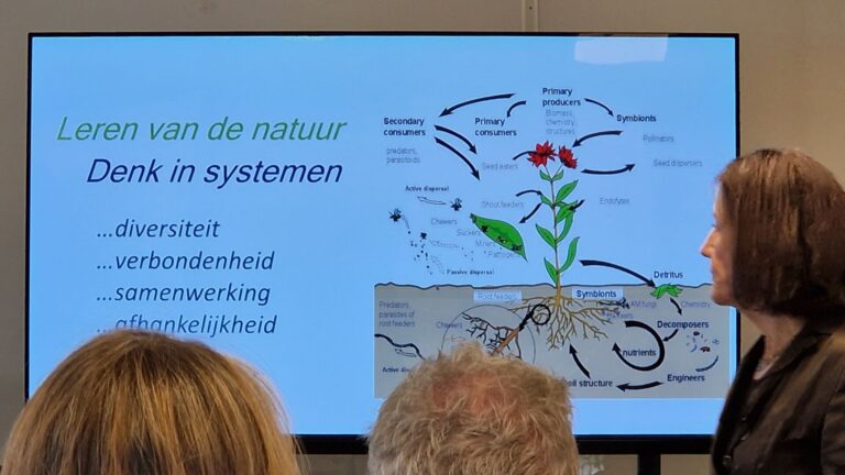 Eindborrel 2026 WIJdehorst (1)