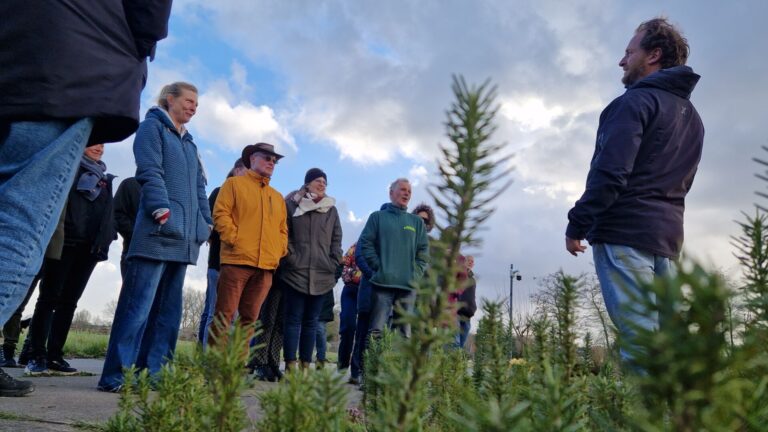 Eindborrel 2026 WIJdehorst (10)