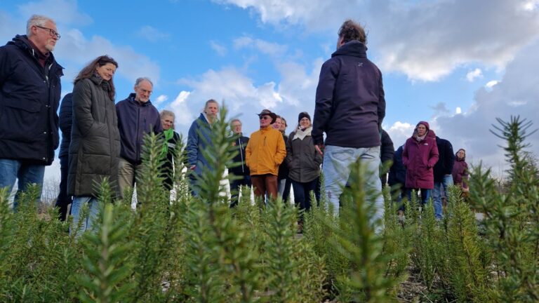 Eindborrel 2026 WIJdehorst (11)