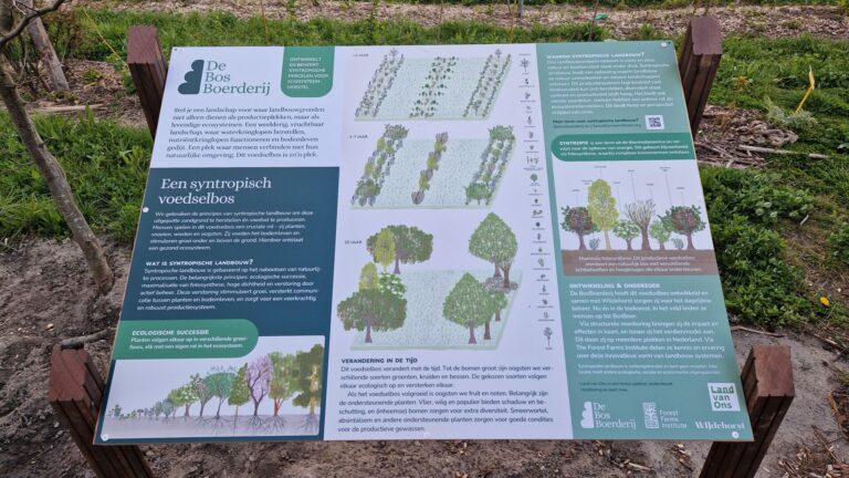 Eindborrel 2026 WIJdehorst (13)