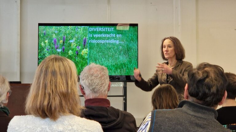 Eindborrel 2026 WIJdehorst (2)