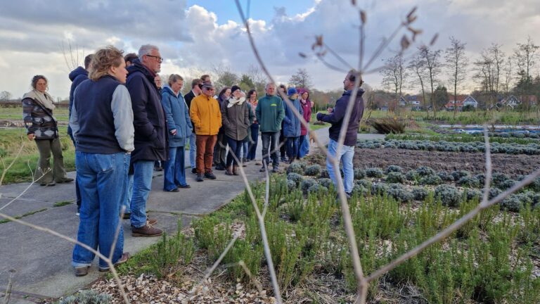 Eindborrel 2026 WIJdehorst (9)