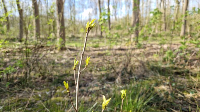 Herdenking Ids 31-03-26 (1)