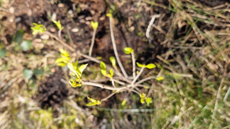 Herdenking Ids 31-03-26 (43)