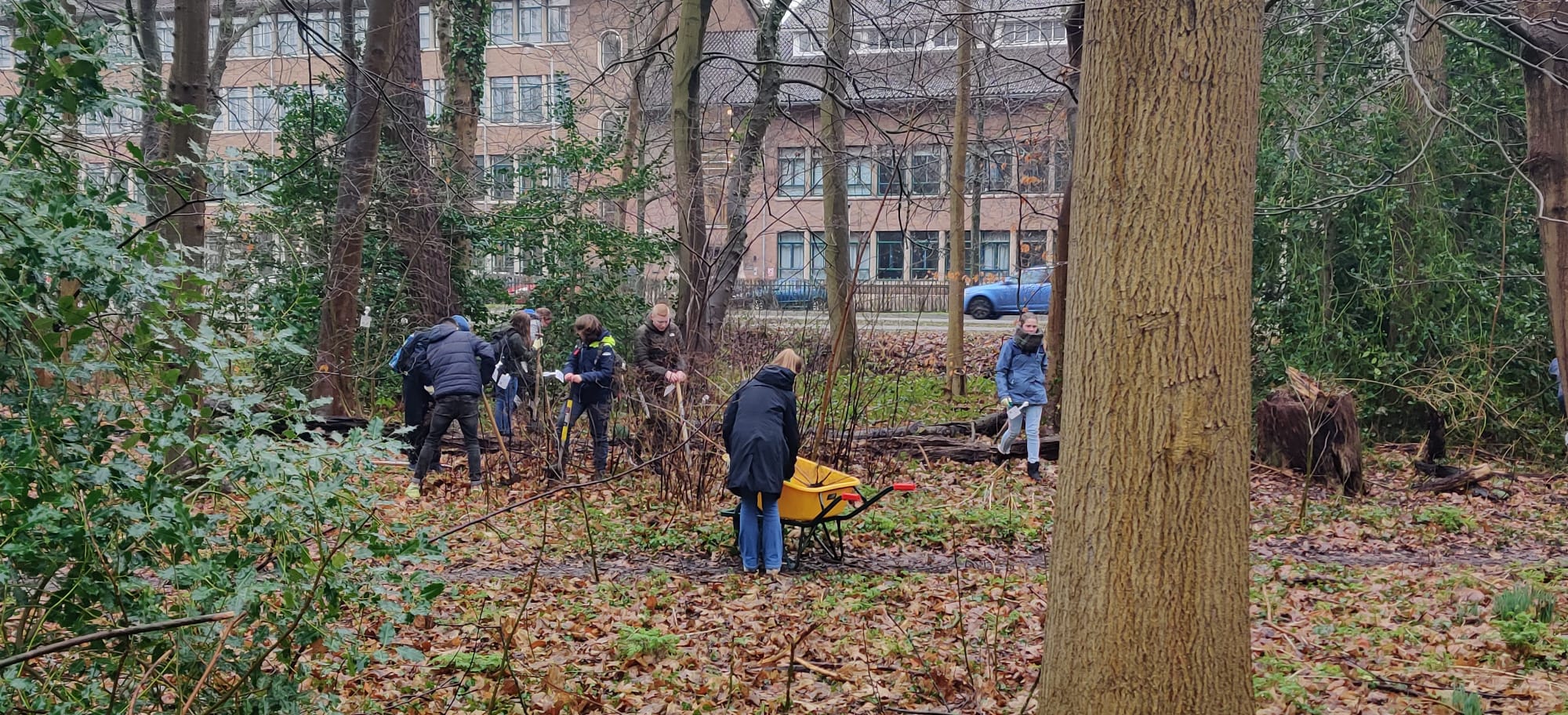 Meer Bomen Nu Van Start In Edese Bos! - MeerBomenNu