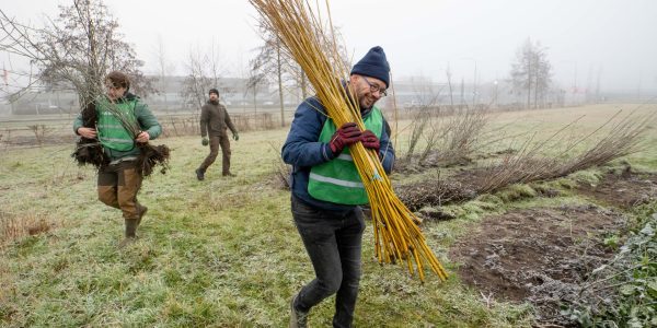 Bomen uitdeeldag, uitgiftedag van Haarlemse boompjes. Meer over deze dag vind je op Haal een Haarlems boompje op! Gemeente Haarlem. Waarderveldweg tegenover nummer 1