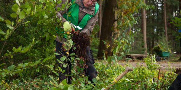 Afbeelding van WhatsApp op 2023-11-04 om 12.54.17_372c9ec2