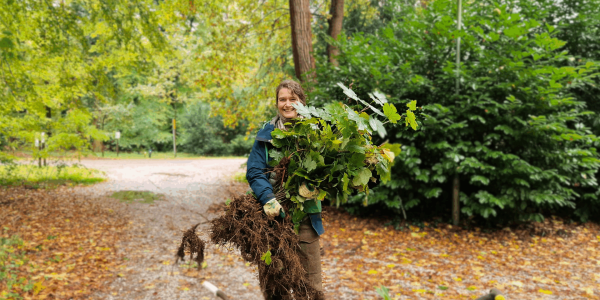 Boomtop 2025 vrouw met zaailingen