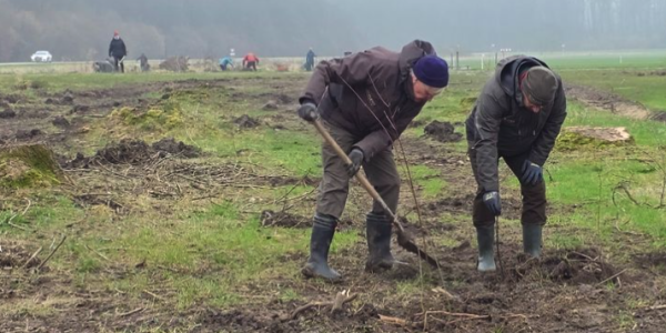 Flevolandschap meer bomen nu