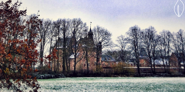 Gelukkig groen jaar