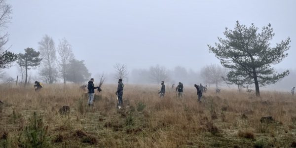 15 jan Pokon Evergreen B.V. locatie het Het Nationale Park De Hoge Veluwe Gelderland