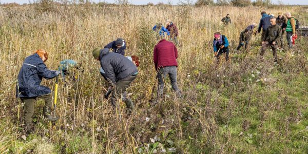 Marker Wadden Natuurmonumenten MBN Fotograaf Evert Feenstra (1)