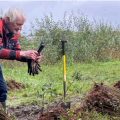 Matty Veghel Landschapsbeheer Knotploeg