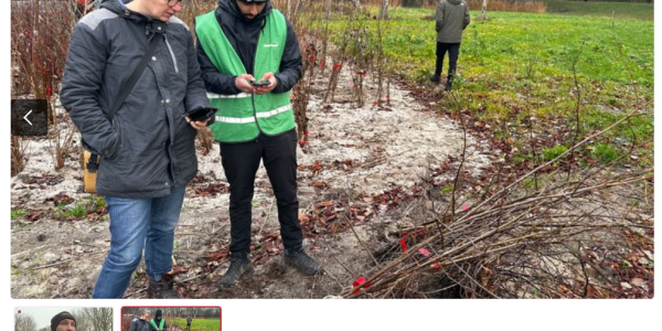 Noud Paanakker op tv