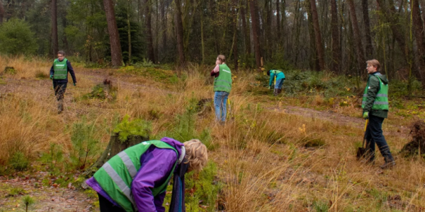 Schermafbeelding 2026-03-05 115039
