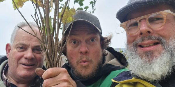 Green Friday gem. Vught