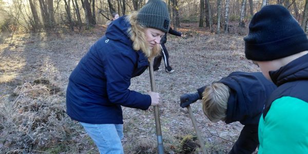 oogsten met groep 8 scholieren (2)