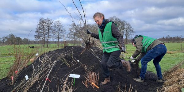 signal-2025-03-03-103821