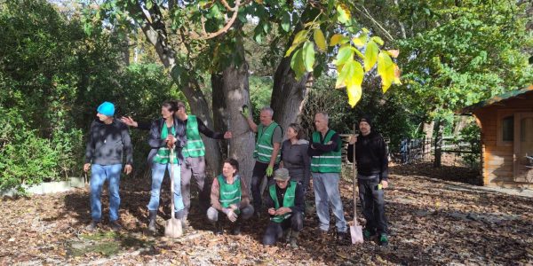 signal-2025-11-10-095234_005